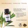 RE SENSE®Tea Tree Essential Oil (10ml)