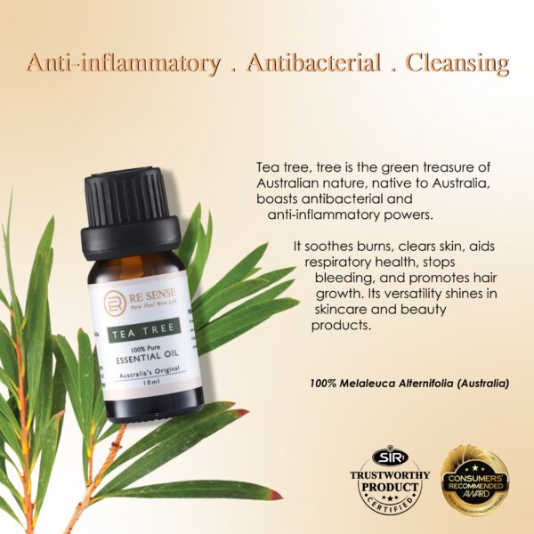 RE SENSE®Tea Tree Essential Oil (10ml)