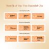 RE SENSE®Tea Tree Essential Oil (10ml)