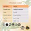 RE SENSE®Tea Tree Essential Oil (10ml)