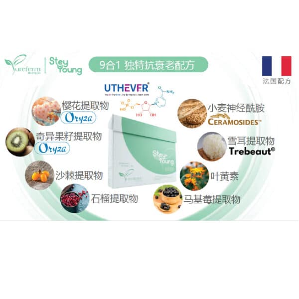 PureFerm SteyYoung NMN (15 Sachets) | Supports Anti-aging | Promotes youthful Skin | Protect Eyes | DNA repair