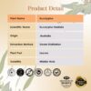 RE SENSE®Eucalyptus Essential Oil (10ml)