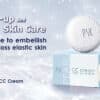 Waterproof-cream-makeup-foundation PSK Skincare & Makeup | Pearl CC Cream 10g (with Special Cushion Puff) | All in One