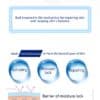 PSK Skincare & Makeup| ​​​​​​​Deep Sea Source Extraction Moisturizing Starter Set (Toner+ Emulsion)
