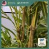 160cm Artificial Plant Large Bamboo Tree with Pot Fake Plant Decoration Home Decor