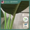 120cm 150cm Artificial Plant Banana Tree with Pot Tree Fake Plant Decoration Home