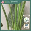 120cm 150cm Artificial Plant Banana Tree with Pot Tree Fake Plant Decoration Home